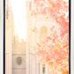 Salt Lake Blossom Glow
