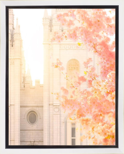 Salt Lake Blossom Glow