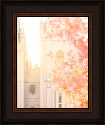 Salt Lake Blossom Glow