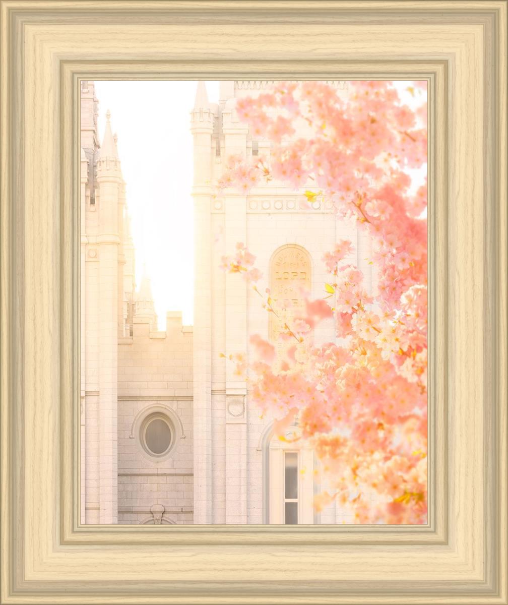 Salt Lake Blossom Glow