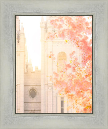 Salt Lake Blossom Glow