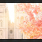 Salt Lake Blossom Glow