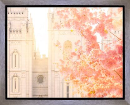 Salt Lake Blossom Glow