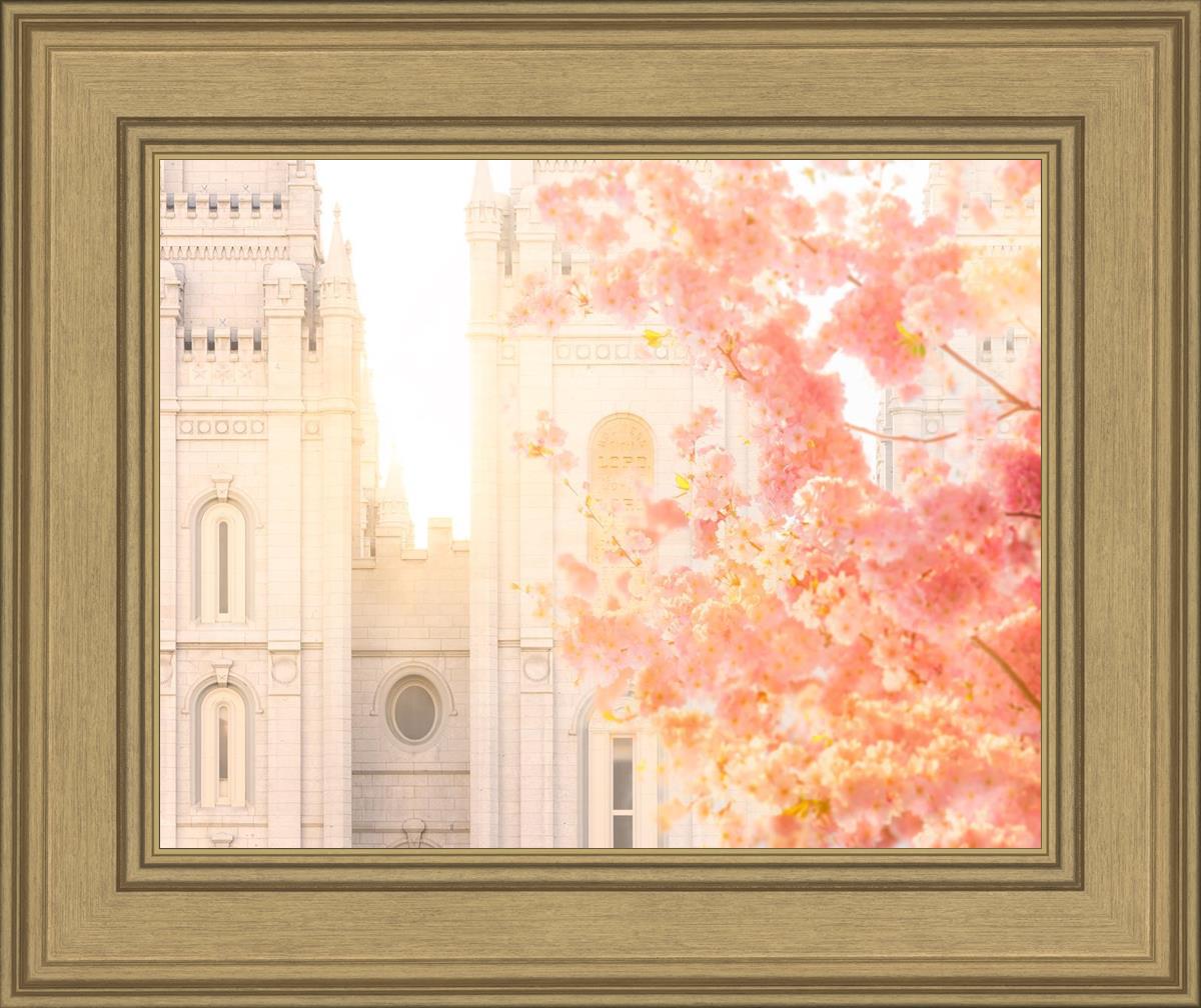Salt Lake Blossom Glow