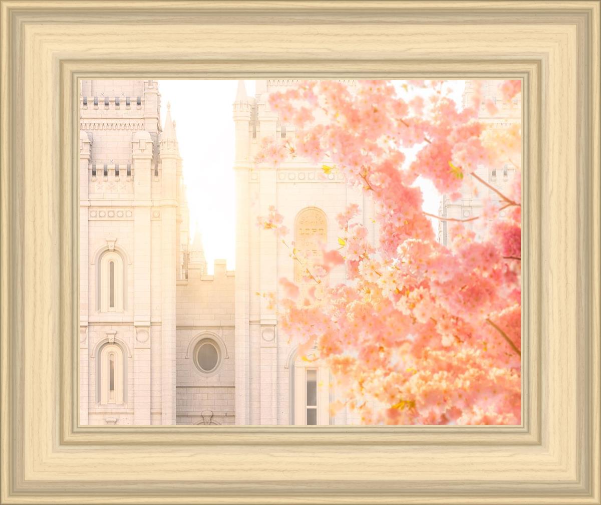 Salt Lake Blossom Glow