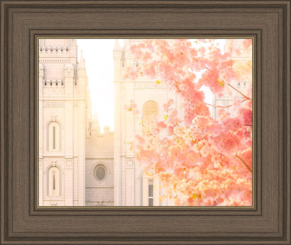 Salt Lake Blossom Glow