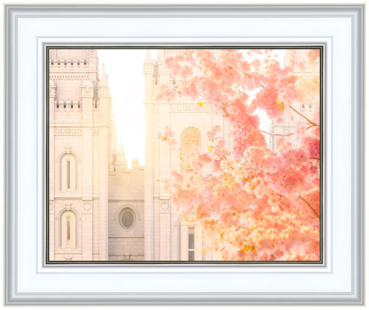 Salt Lake Blossom Glow