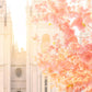 Salt Lake Blossom Glow