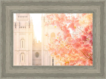 Salt Lake Blossom Glow