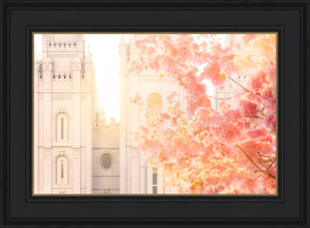 Salt Lake Blossom Glow