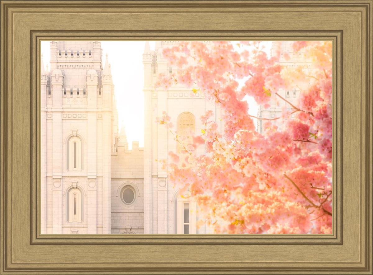 Salt Lake Blossom Glow