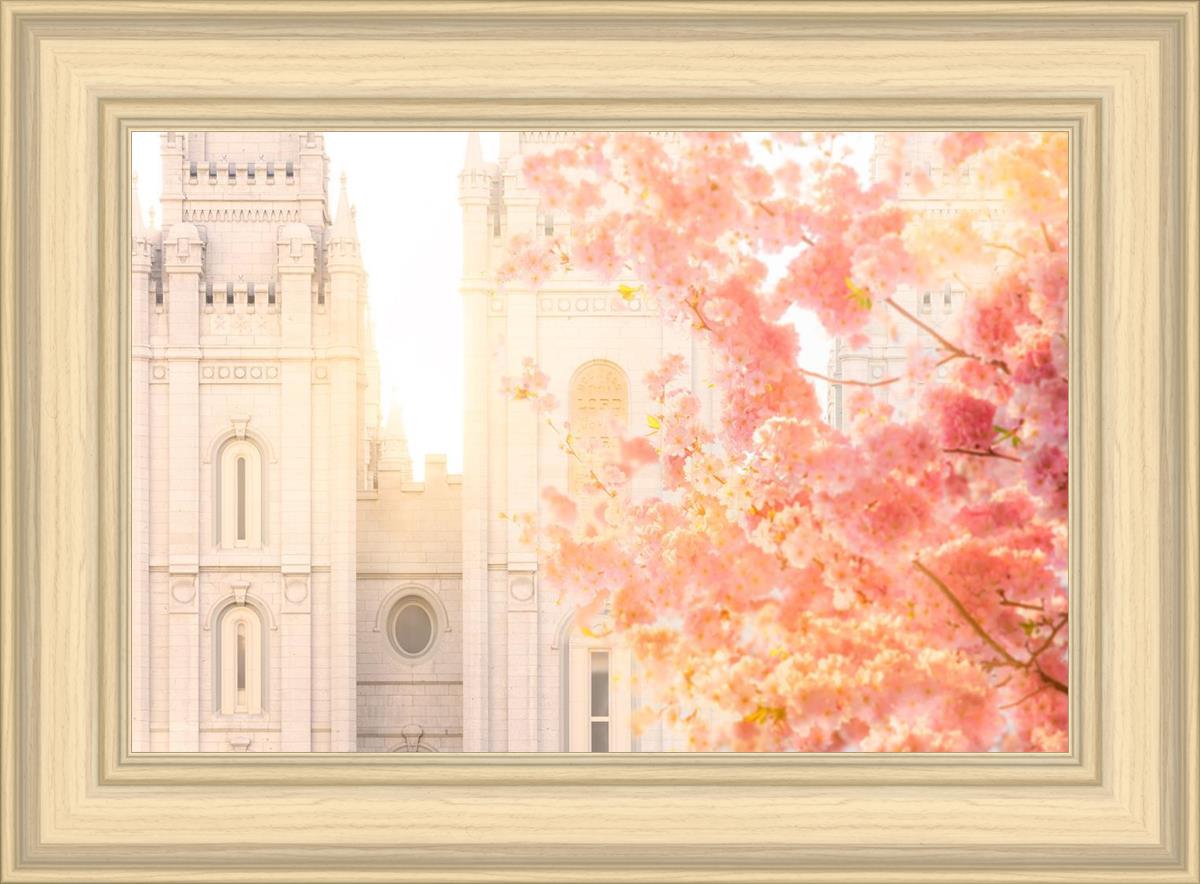Salt Lake Blossom Glow