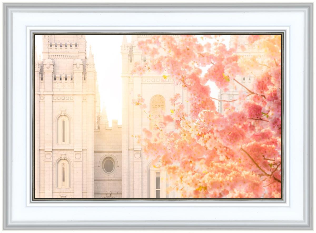 Salt Lake Blossom Glow