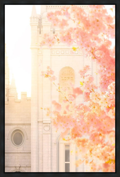 Salt Lake Blossom Glow