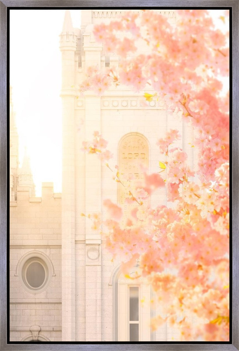 Salt Lake Blossom Glow Gallery Wrap