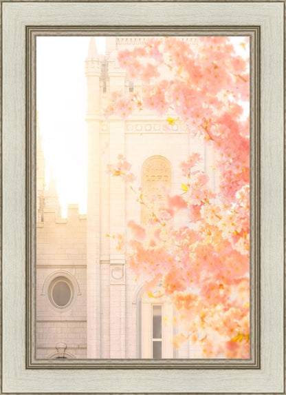 Salt Lake Blossom Glow