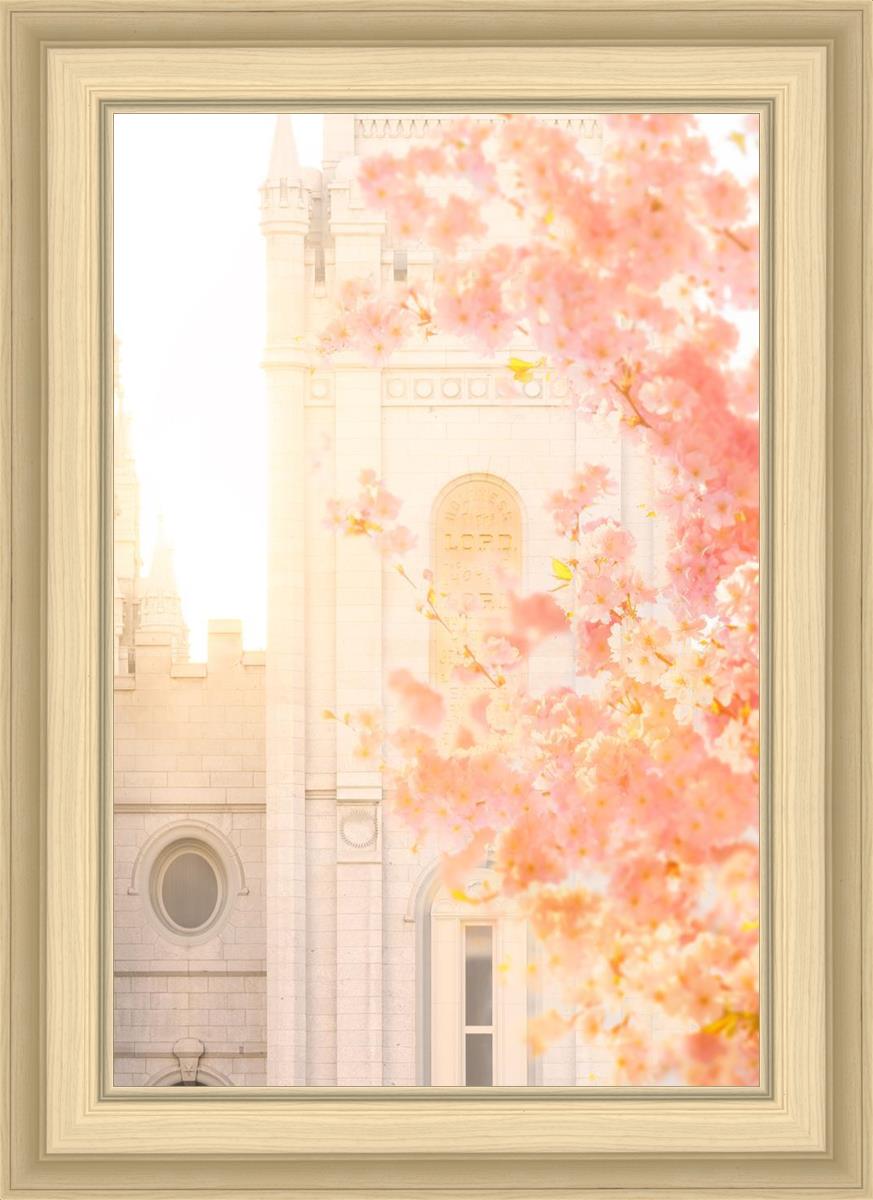Salt Lake Blossom Glow