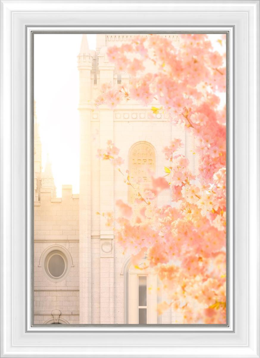 Salt Lake Blossom Glow