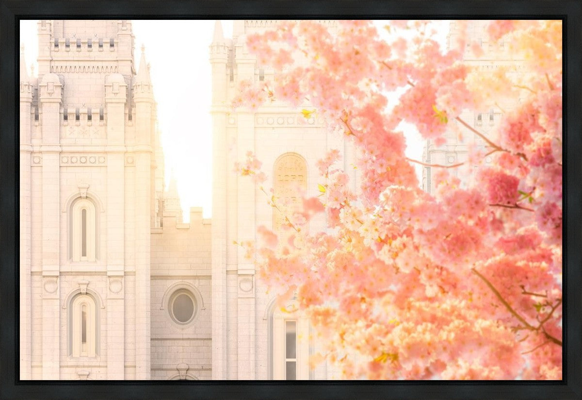Salt Lake Blossom Glow Gallery Wrap