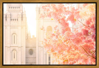 Salt Lake Blossom Glow