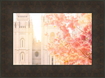 Salt Lake Blossom Glow