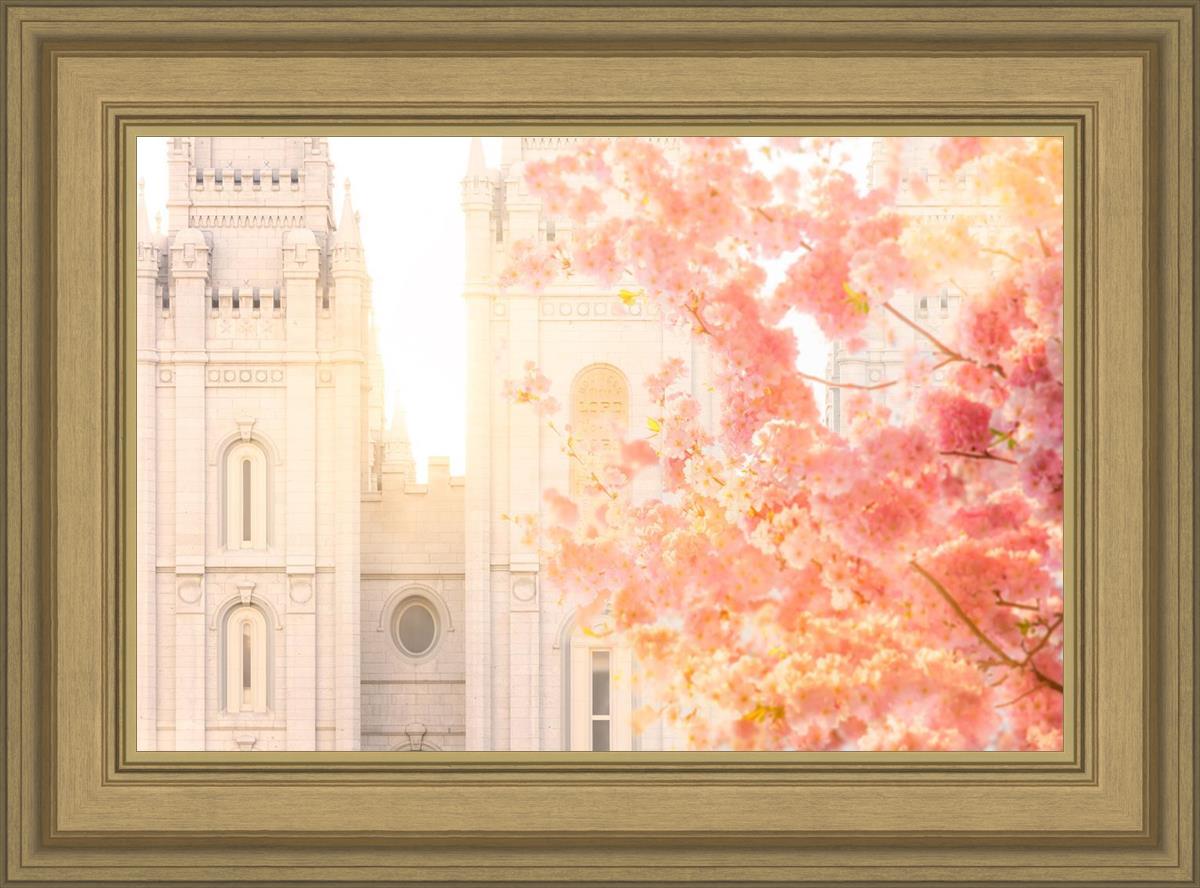 Salt Lake Blossom Glow