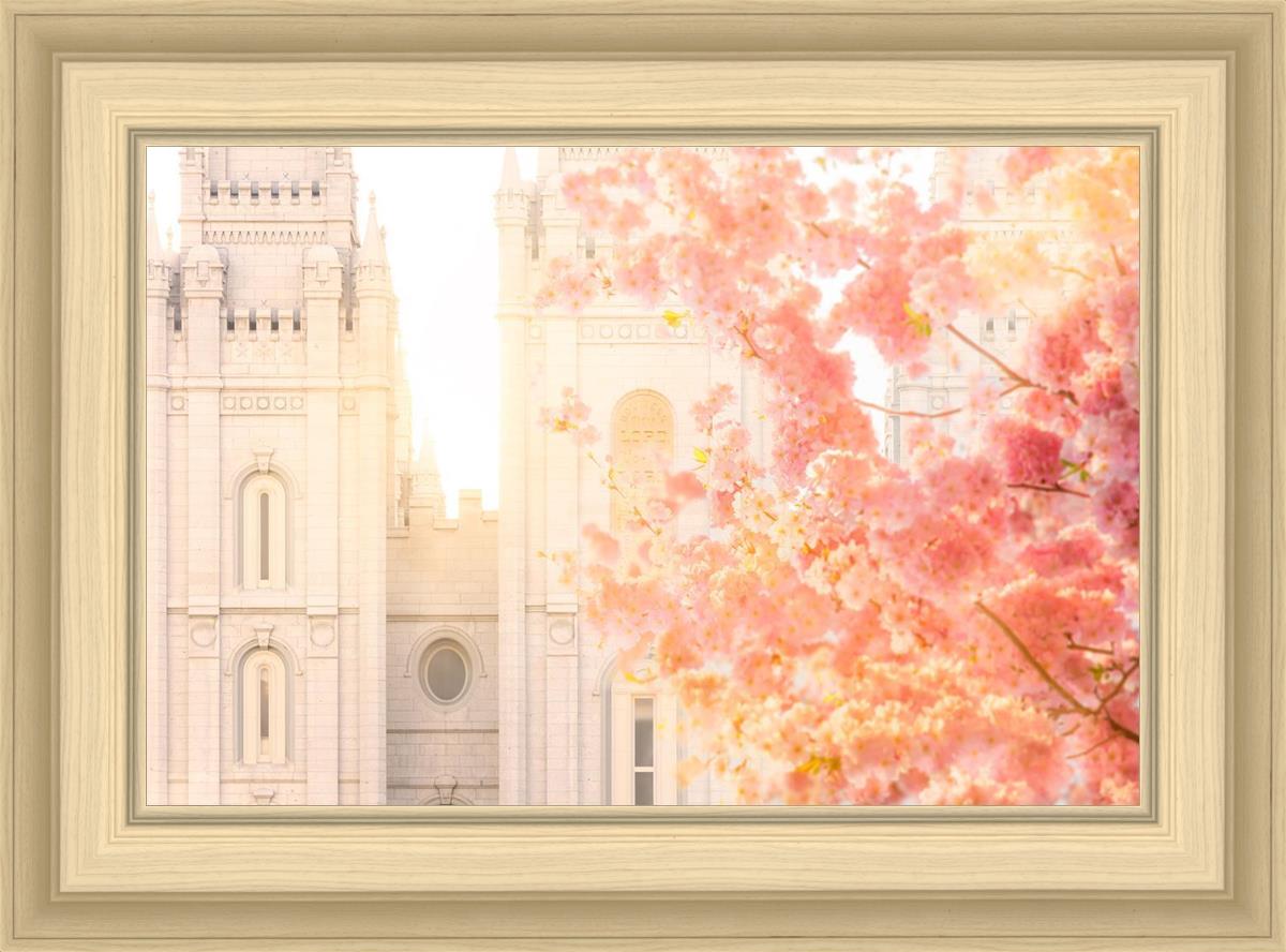 Salt Lake Blossom Glow
