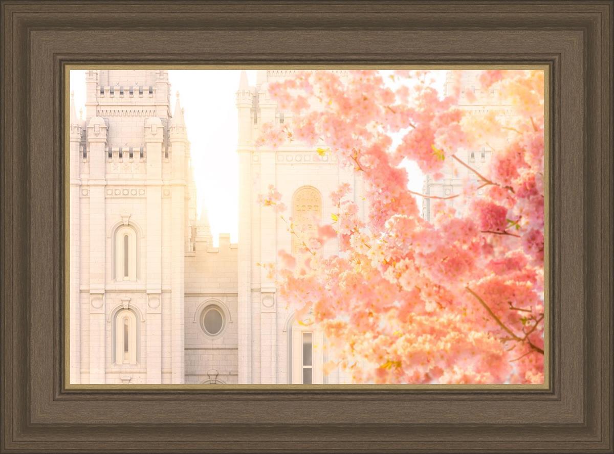 Salt Lake Blossom Glow