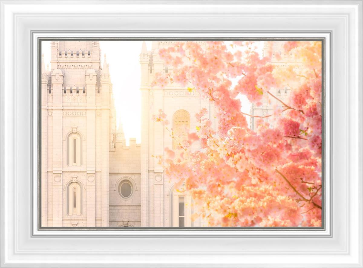 Salt Lake Blossom Glow