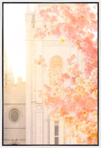 Salt Lake Blossom Glow