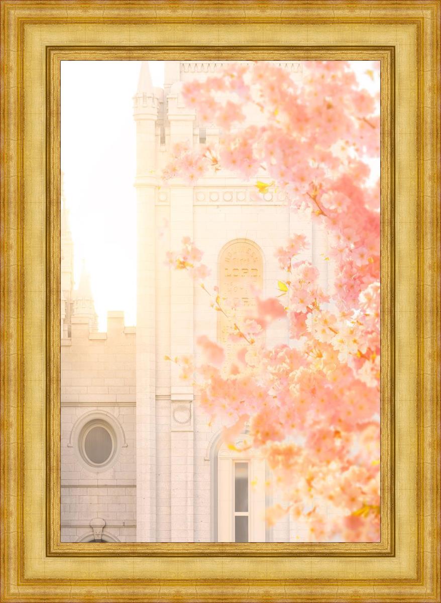 Salt Lake Blossom Glow