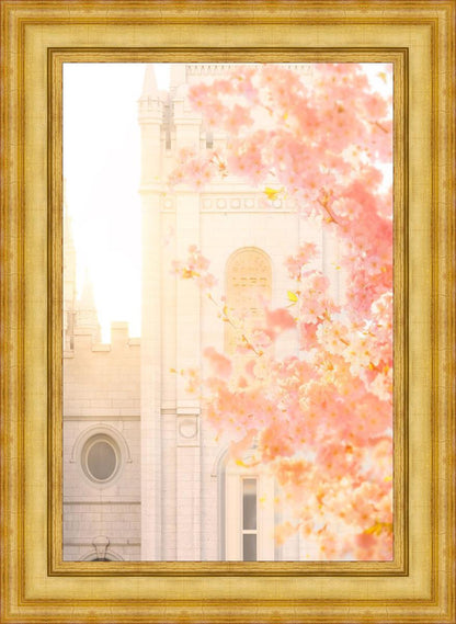 Salt Lake Blossom Glow