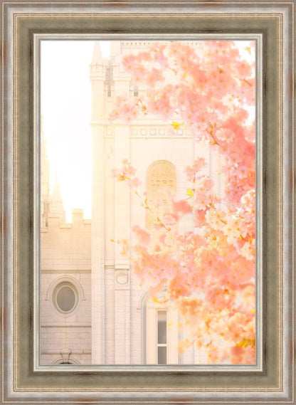 Salt Lake Blossom Glow