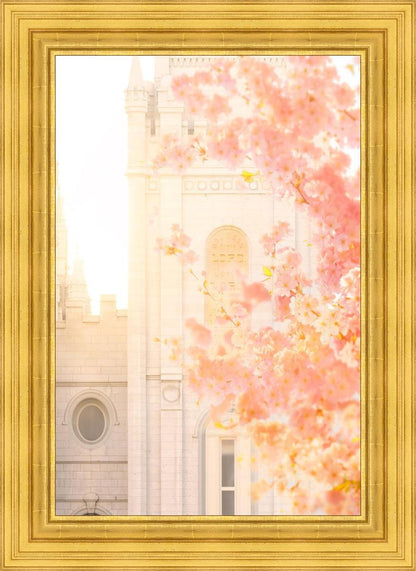 Salt Lake Blossom Glow