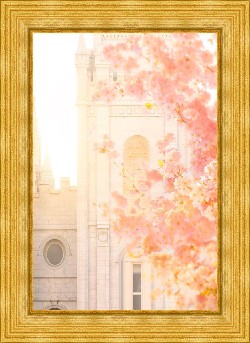 Salt Lake Blossom Glow