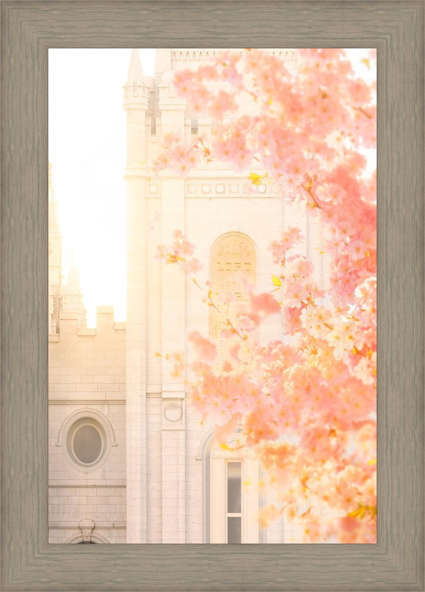 Salt Lake Blossom Glow