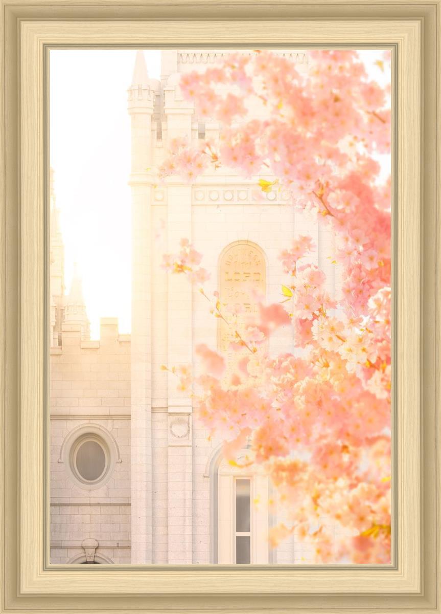 Salt Lake Blossom Glow