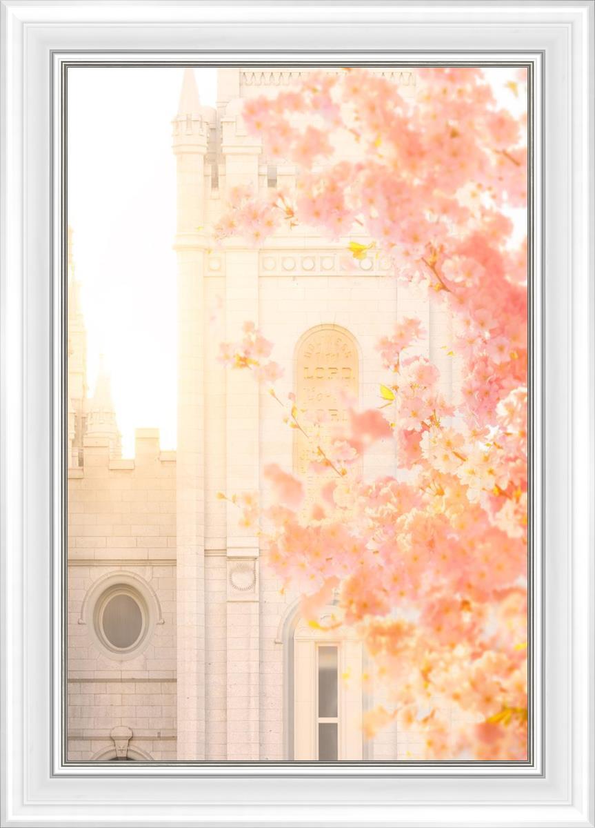 Salt Lake Blossom Glow