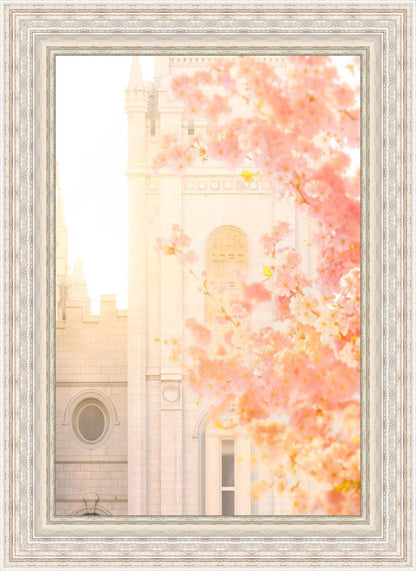 Salt Lake Blossom Glow