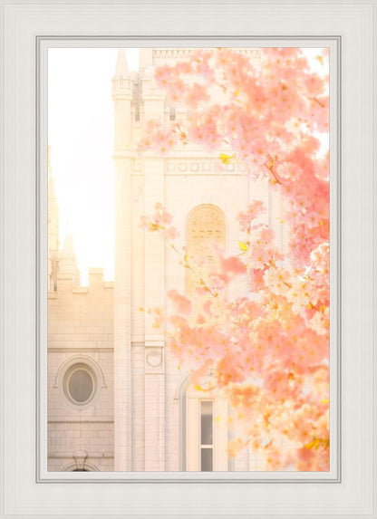 Salt Lake Blossom Glow