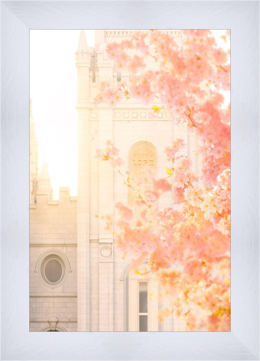 Salt Lake Blossom Glow