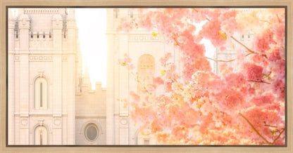 Salt Lake Blossom Glow