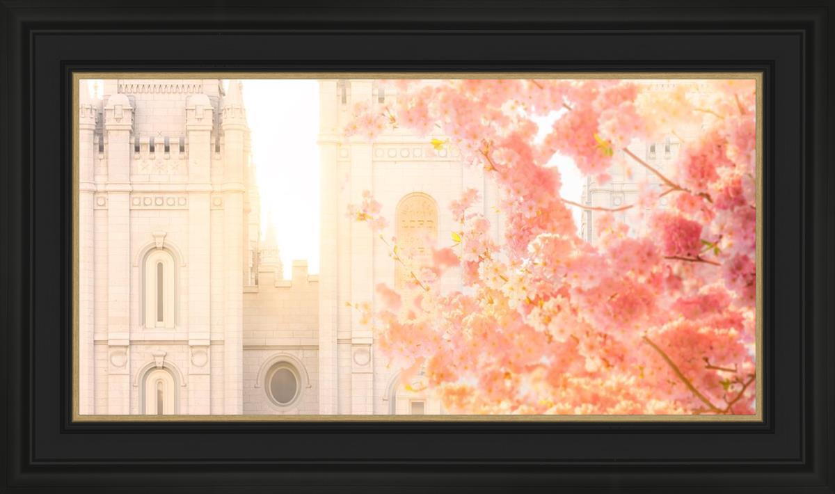 Salt Lake Blossom Glow