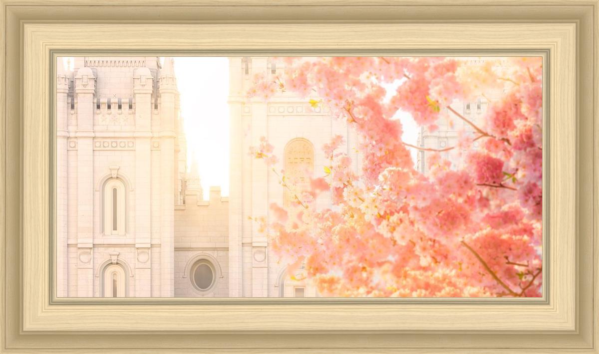 Salt Lake Blossom Glow