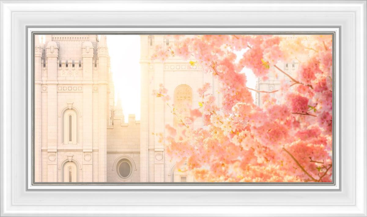 Salt Lake Blossom Glow