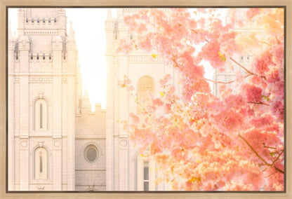 Salt Lake Blossom Glow