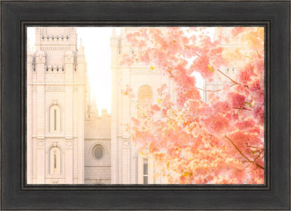 Salt Lake Blossom Glow