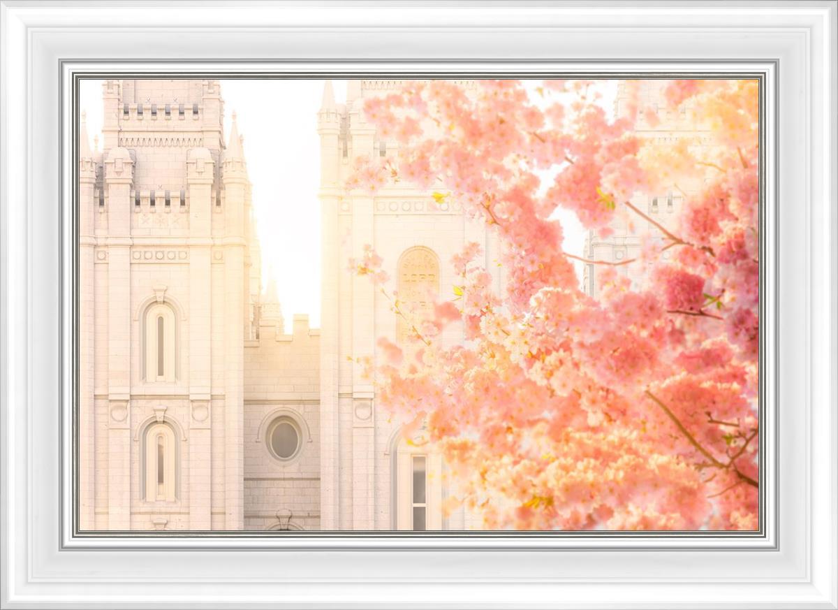 Salt Lake Blossom Glow