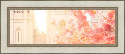 Salt Lake Blossom Glow