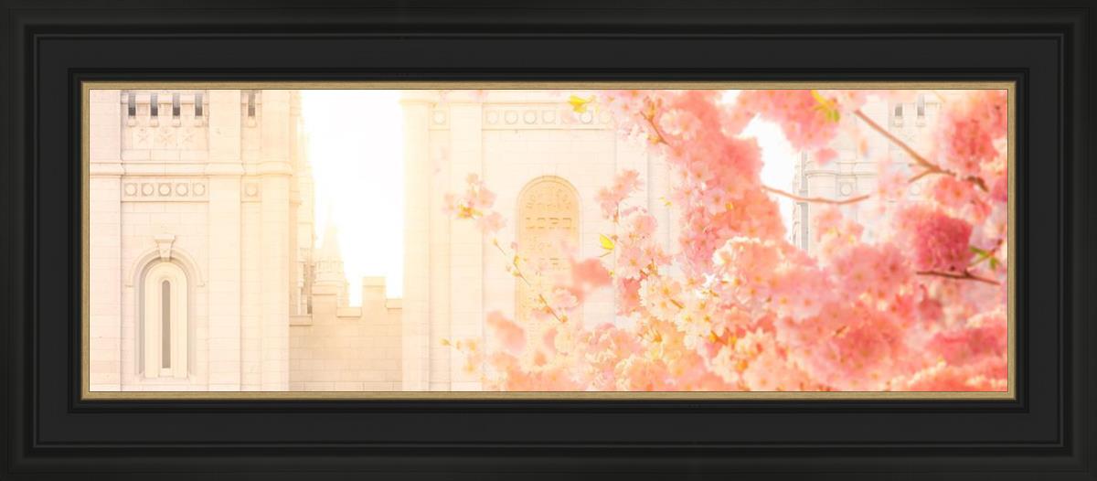 Salt Lake Blossom Glow